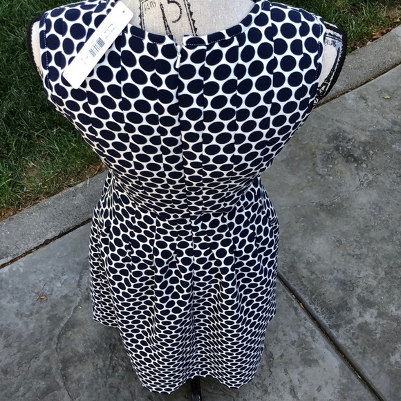 NWT It Seams So Navy Dot Dress Size S - Picture 6 of 8
